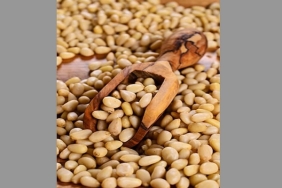 Çam Fıstığı Fiyatı