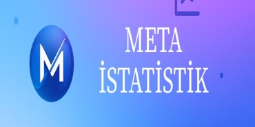 Meta İstatistik: SPSS Yardımı’nın Ardından Yeni Bir Adım